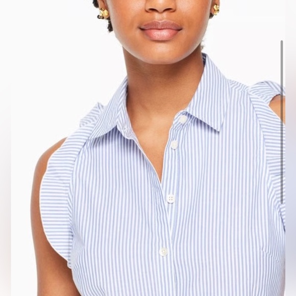 Kate Spade Blue and White Pinstriped Cotton Poplin Ruffle Sleeve Dress Size 6 - Picture 3 of 10